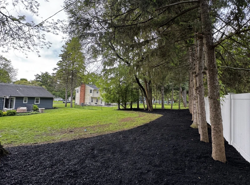 A fresh black mulch bed running along a row of pine trees beside a white fence